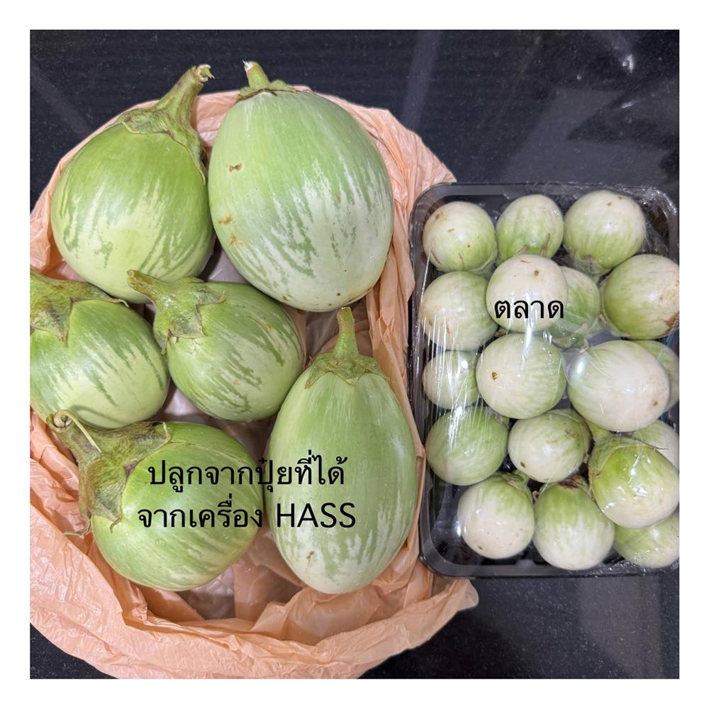 เครื่องย่อยเศษอาหาร HASS HFC-250M 2 กก./วัน