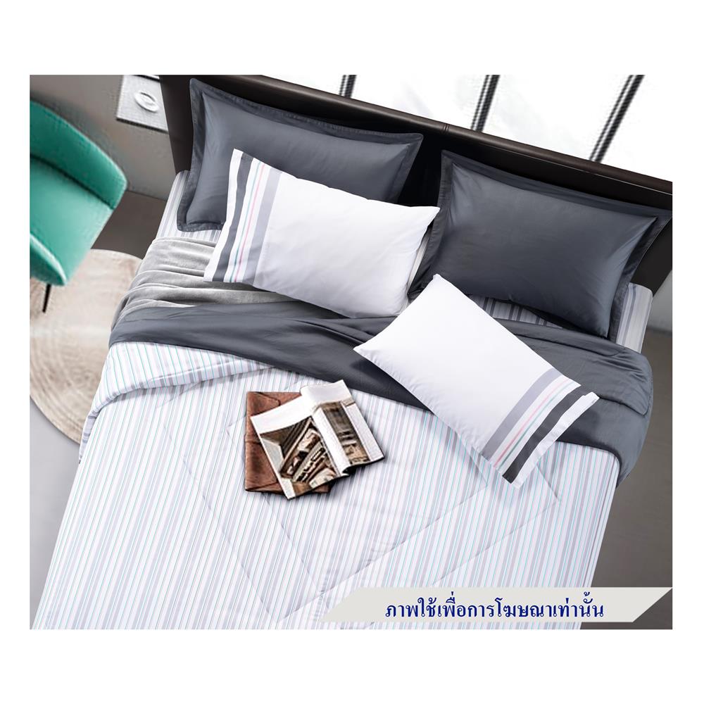 ชุดผ้าปูที่นอน 6 ฟุต 6 ชิ้น SANTAS COTTON USA BALLETIC GR