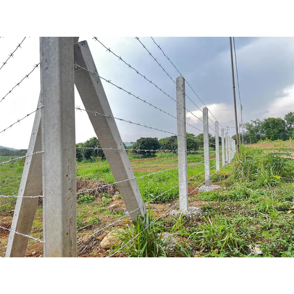 เสารั้วอัดแรง 4 นิ้ว เสริมเหล็ก GC 10x10x300 ซม.