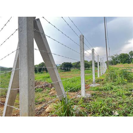 เสารั้วอัดแรง 4 นิ้ว เสริมเหล็ก GC 10x10x300 ซม._2