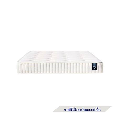 ที่นอน 3.5 ฟุต MERCURY MATTRESS KABUL