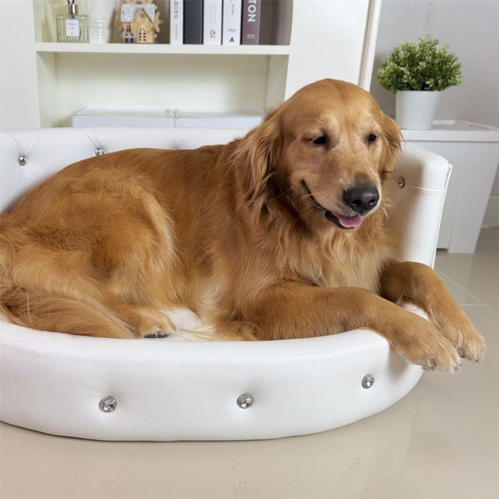 โซฟาสัตว์เลี้ยง PET BUDDY PB05L 35x67x91 ซม. สีขาว