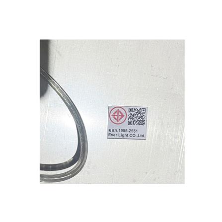 ไฟช่อ LED EVL HL-22019 100 วัตต์ WARM WHITE สีเงิน 1 หัว_2