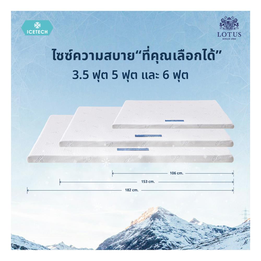 แผ่นรองนอน 3.5 ฟุต LOTUS REGIS II
