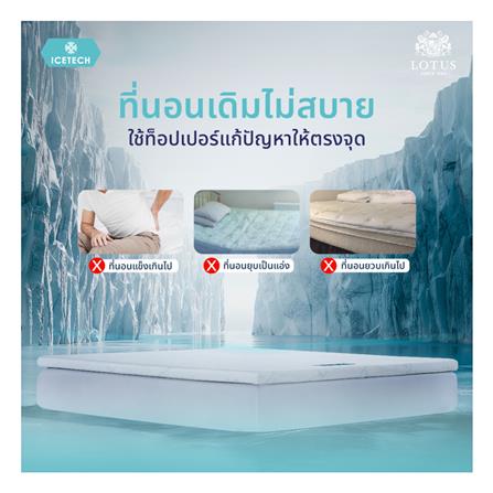 แผ่นรองนอน 3.5 ฟุต LOTUS REGIS II_4