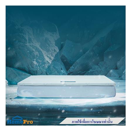 แผ่นรองนอน 3.5 ฟุต LOTUS REGIS II_2