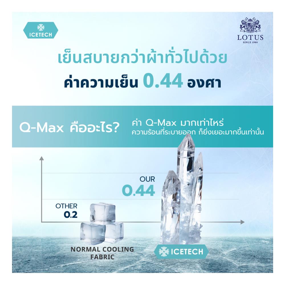 แผ่นรองนอน 5 ฟุต LOTUS REGIS II