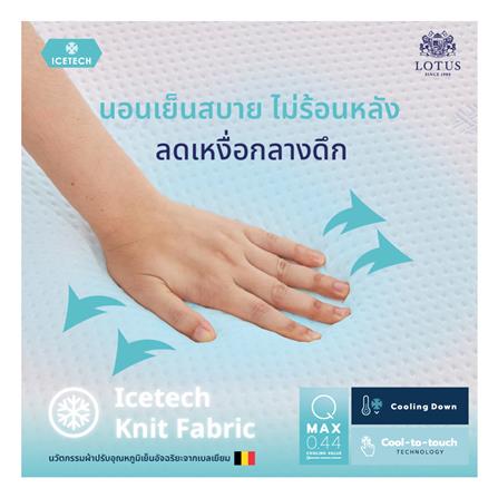 แผ่นรองนอน 5 ฟุต LOTUS REGIS II_9