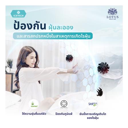 แผ่นรองนอน 6 ฟุต LOTUS REGIS II_3