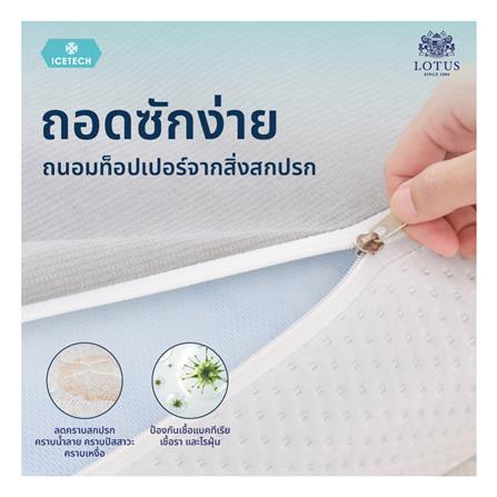 แผ่นรองนอน 6 ฟุต LOTUS REGIS II_5