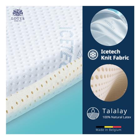 แผ่นรองนอน 6 ฟุต LOTUS REGIS II_6