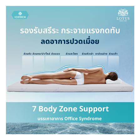 แผ่นรองนอน 5 ฟุต LOTUS REGIS I_8