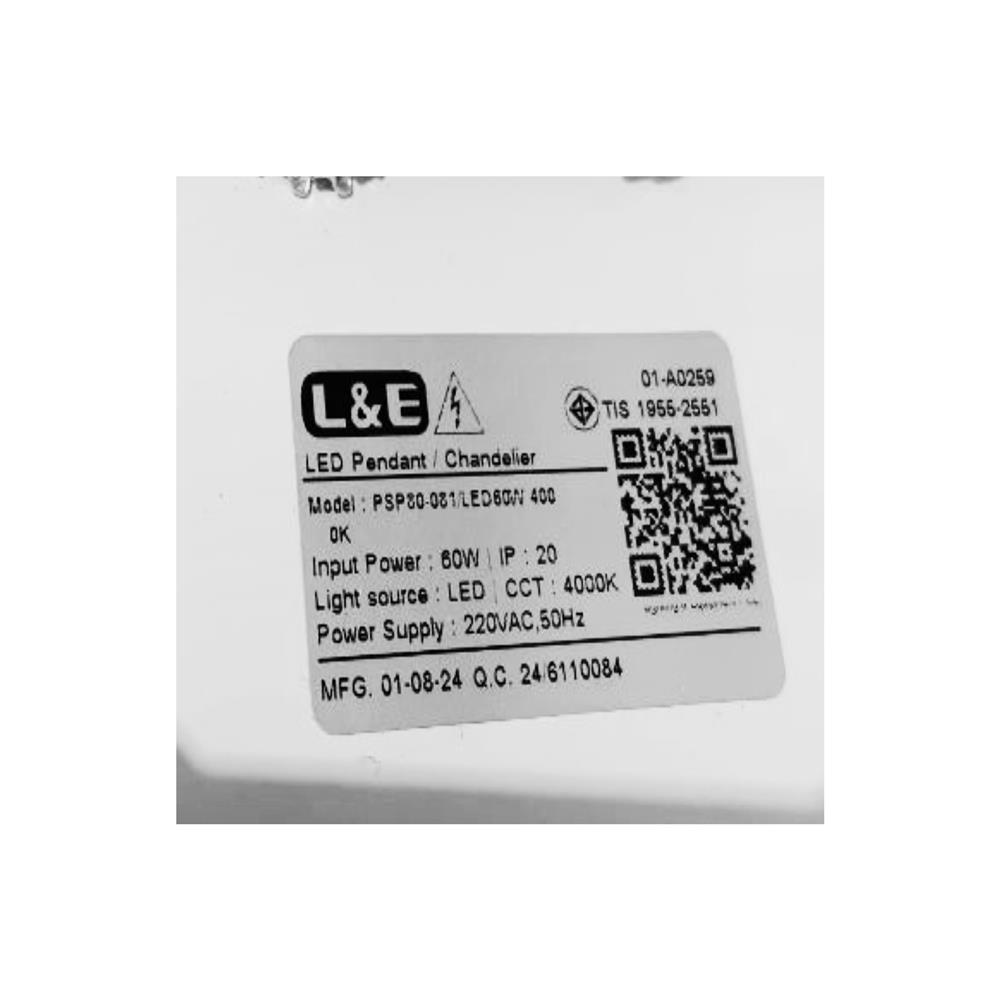 ไฟช่อ LED L&E 01-A0259 60 วัตต์ COOL WHITE สีขาว 1 หัว
