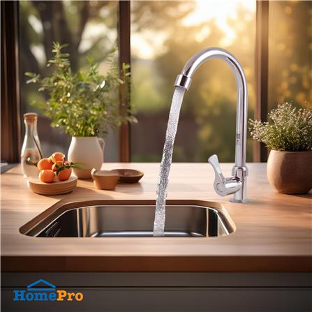 ก๊อกซิงค์เดี่ยวเคาน์เตอร์ ELEGANCE EG-9727_3