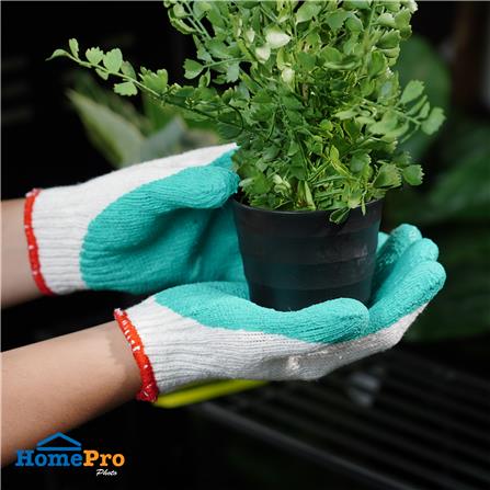 ถุงมือเคลือบยางพารา DEXZON สีเขียว (แพ็ก 1 โหล)_3