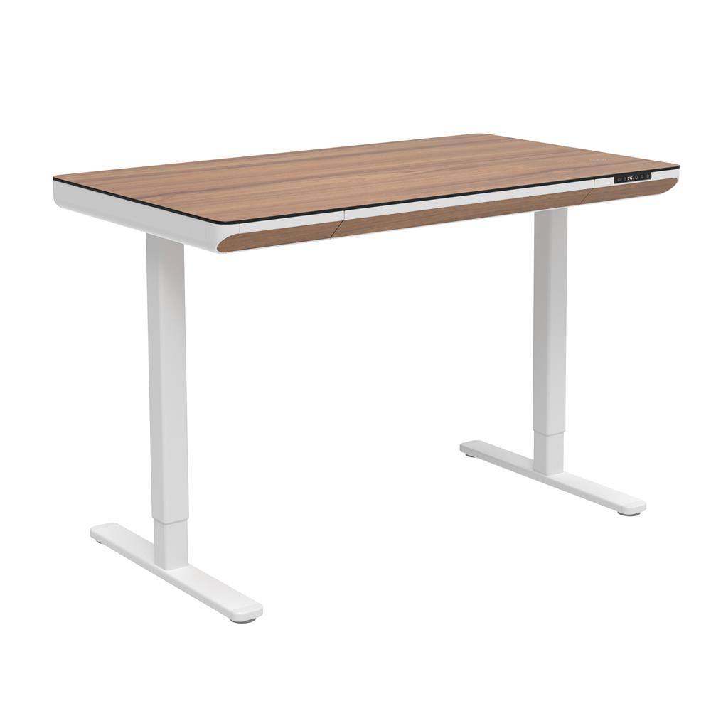 โต๊ะปรับระดับไฟฟ้า FURDINI VISTA THEA2D-FM1S2-1200L 120 ซม. สีไลท์ วอลนัท