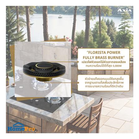 เตาฝังแก๊ส AXIA FLO 72-2G 72 ซม._2