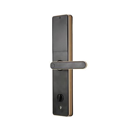 กลอนดิจิตอล HILOCK HL-621R สีทองแดงรมดำ_2
