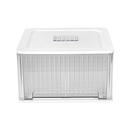 กล่องลิ้นชักจัดเก็บกางเกงชั้นใน PLIM IRENE SIZE L 12 ช่อง สีขาว_1