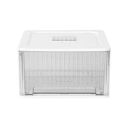 กล่องจัดเก็บเสื้อชั้นใน PLIM IRENE SIZE L สีขาว_2