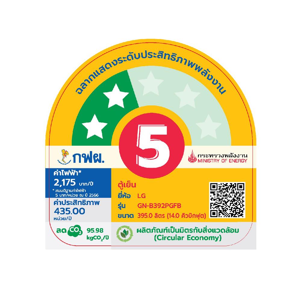 ตู้เย็น 2 ประตู LG GN-B392PGFB.ABMPLMT 14 คิว กระจกดำ อินเวอร์เตอร์