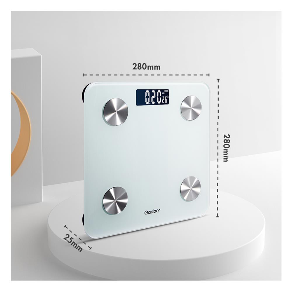 เครื่องชั่งน้ำหนัก GAABOR GWS-M02A