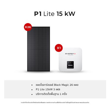 ชุดโซลาร์เซลล์ ENERGY LIB P1 LITE 15 KW 3 เฟส_3