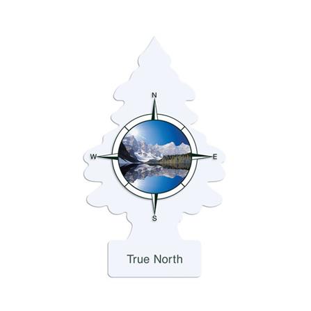 แผ่นหอมปรับอากาศ LITTLE TREES 0.02 กรัม TRUE NORTH_0