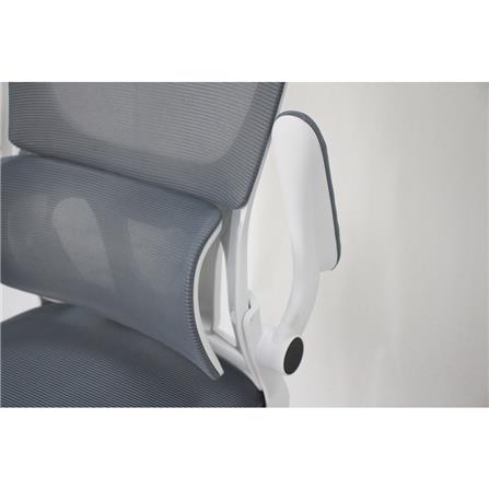 เก้าอี้สุขภาพ LUVORA W48 สีเทา_5