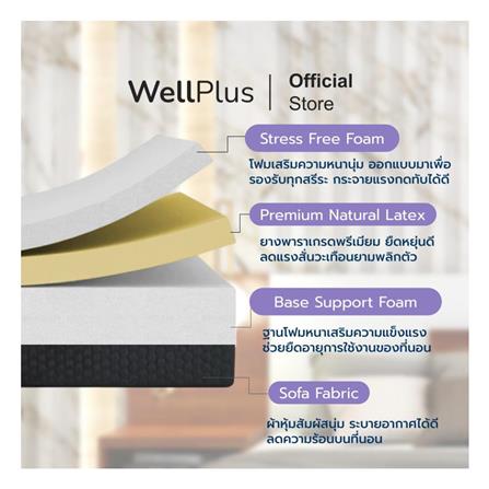 ที่นอน 5 ฟุต WELLPLUS CHET_2