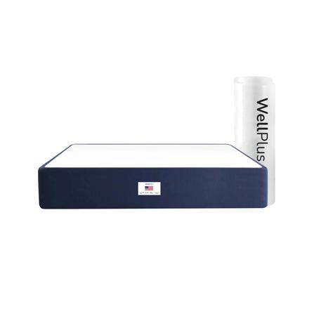 ที่นอน 6 ฟุต WELLPLUS JULIA_0