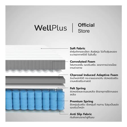 ที่นอน 3 ฟุต WELLPLUS BRIELLE_3