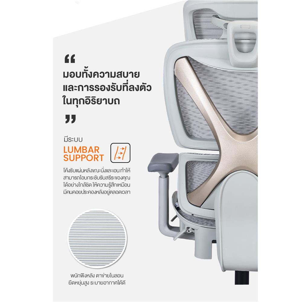 เก้าอี้สำนักงาน ERGOTREND CROSS-LIGHT GREY สีเทาอ่อน