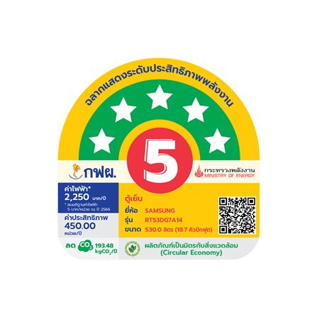 ตู้เย็น 2 ประตู SAMSUNG RT53DG7A14B1ST HPB 18.7 คิว อินเวอร์เตอร์ สีดำ_6