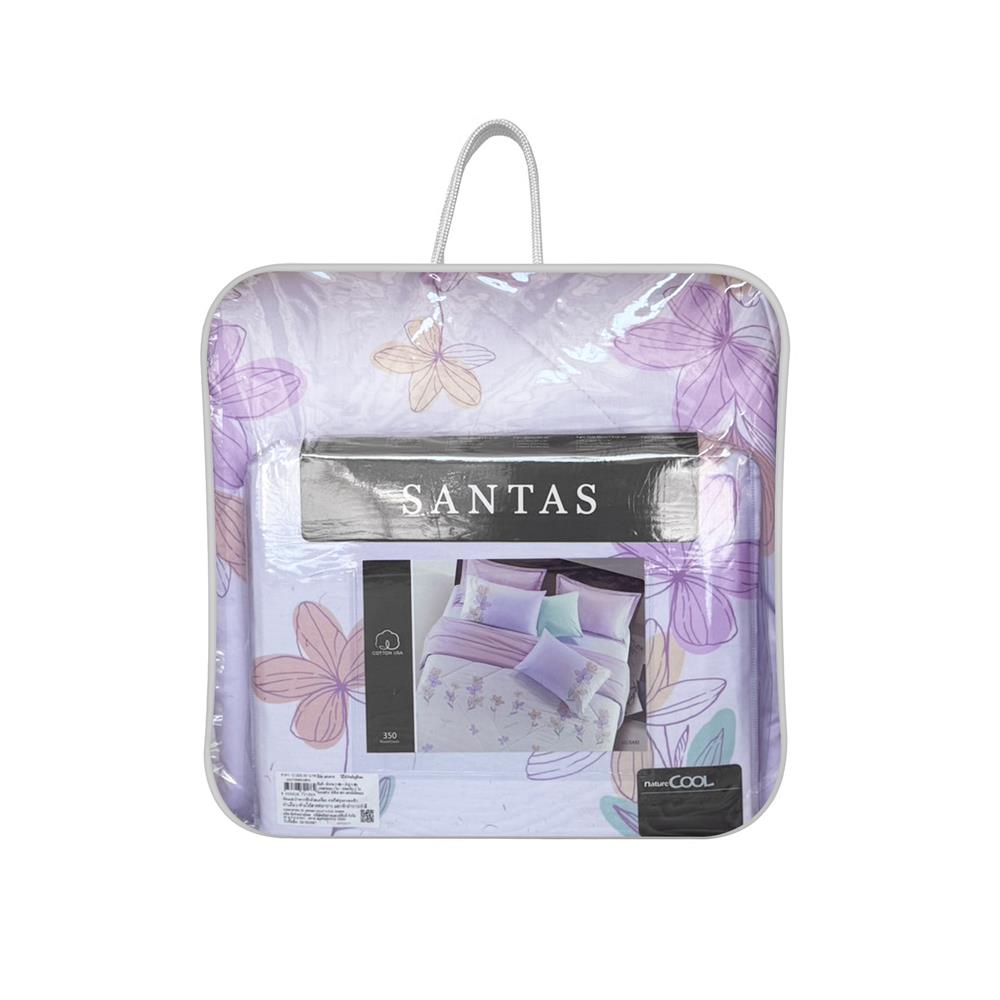 ชุดผ้าปูที่นอน 5 ฟุต (ชุด 6 ชิ้น) SANTAS COTTON USA สี MERAKI VI