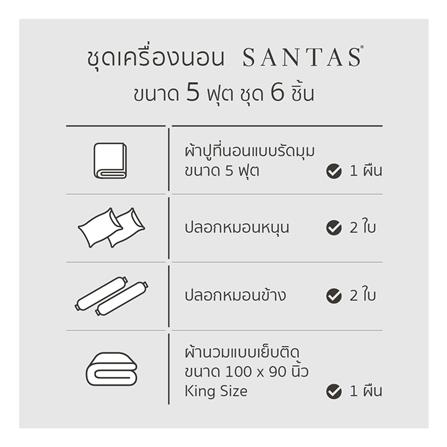 ชุดผ้าปูที่นอน 5 ฟุต (ชุด 6 ชิ้น) SANTAS COTTON USA สี MERAKI VI_6