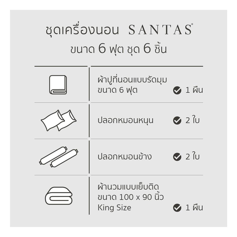 ชุดผ้าปูที่นอน 6 ฟุต (ชุด 6 ชิ้น) SANTAS COTTON USA สี MERAKI VI