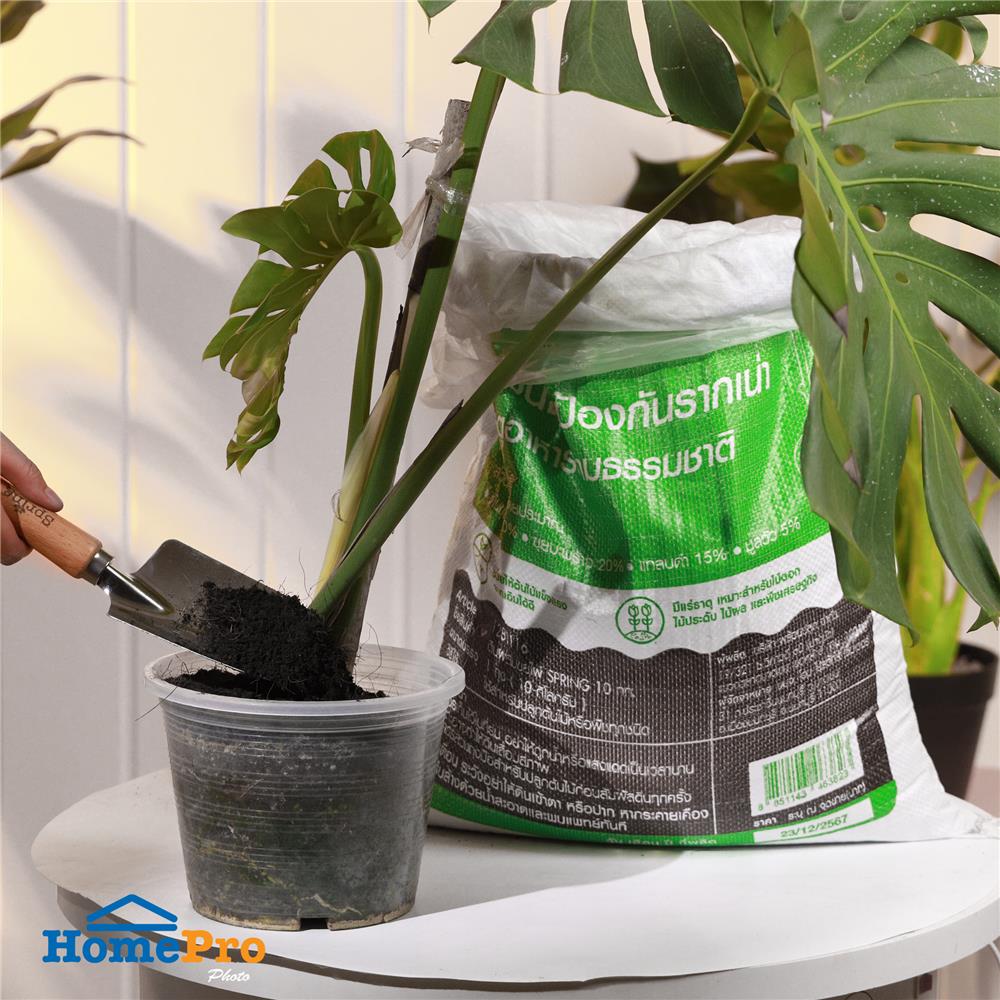 ดินผสมขุยไผ่ SPRING 10 กก.