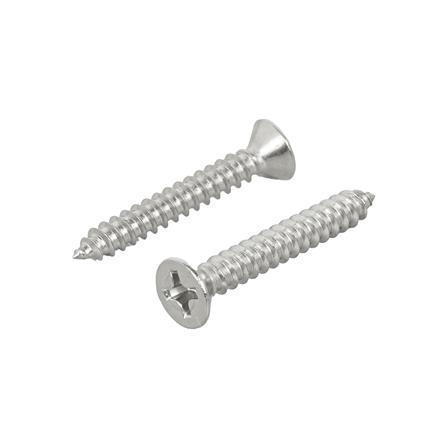 สกรูเกลียวปล่อย TF DEXZON 6x1 นิ้ว 25 ชิ้น_0