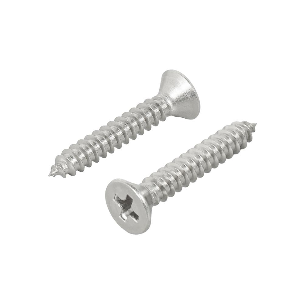 สกรูเกลียวปล่อย TF DEXZON 8x1 นิ้ว 25 ชิ้น