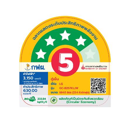 ตู้เย็น SIDE BY SIDE LG GC-B257KLJW.APYPLMT 23.4 คิว อินเวอร์เตอร์ สีเงิน_6