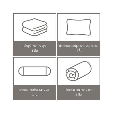 ชุดผ้าปูที่นอน 3.5 ฟุต (ชุด 4 ชิ้น) FACINO PRINT FA077_5