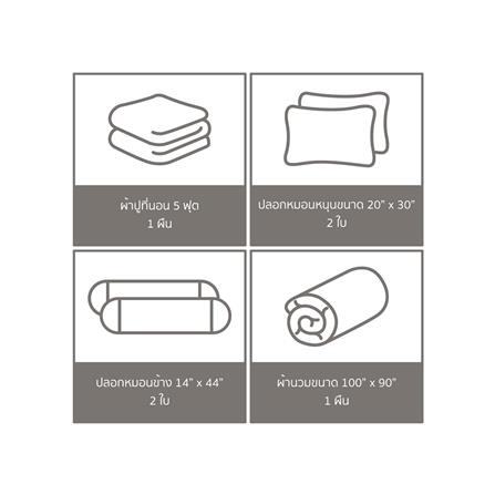 ชุดผ้าปูที่นอน 5 ฟุต (ชุด 6 ชิ้น) FACINO PRINT FA088_5