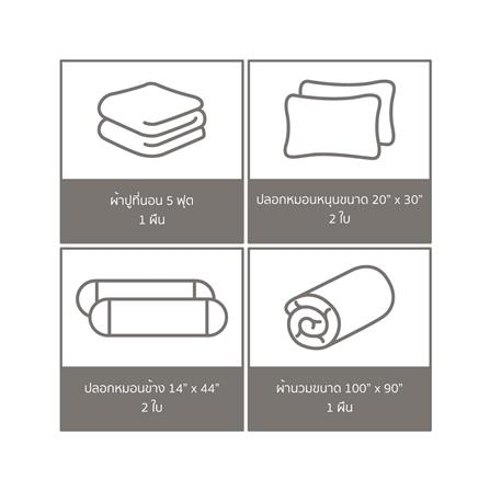 ชุดผ้าปูที่นอน 5 ฟุต (ชุด 6 ชิ้น) FACINO PRINT FA078_5