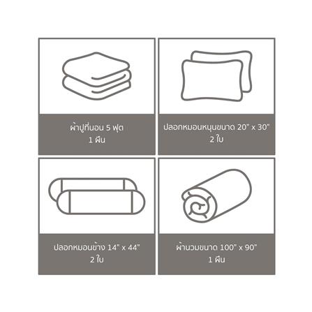 ชุดผ้าปูที่นอน 5 ฟุต (ชุด 6 ชิ้น) FACINO PRINT FA079_5