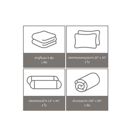 ชุดผ้าปูที่นอน 5 ฟุต (ชุด 6 ชิ้น) FACINO PRINT FA087_5