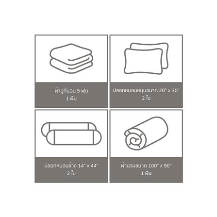 ชุดผ้าปูที่นอน 5 ฟุต (ชุด 6 ชิ้น) FACINO PRINT FA082_5