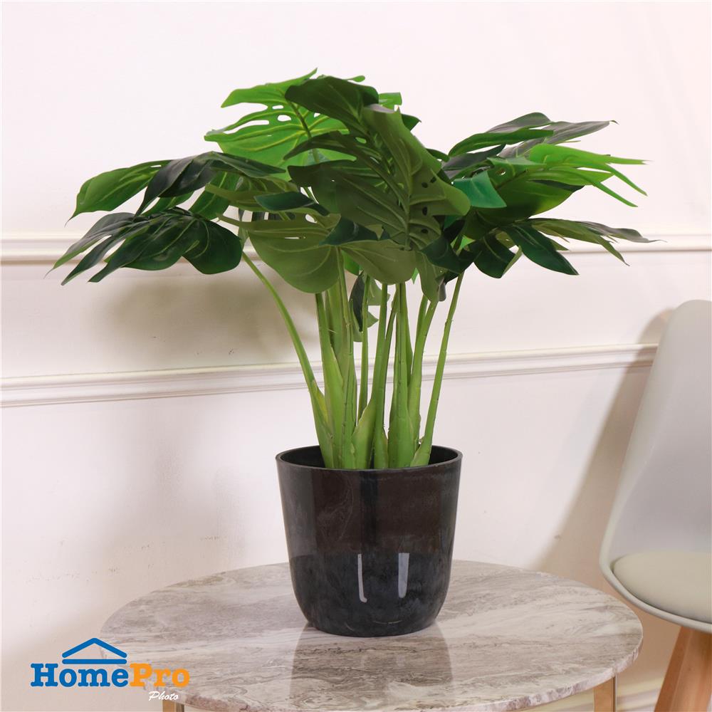 กระถางพลาสติก SPRING MORAY 21 ซม. สีเทา