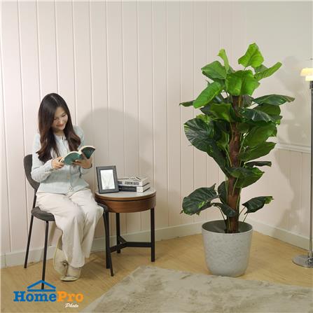 กระถางพลาสติก SPRING MORAY 35 ซม. สีขาว_4