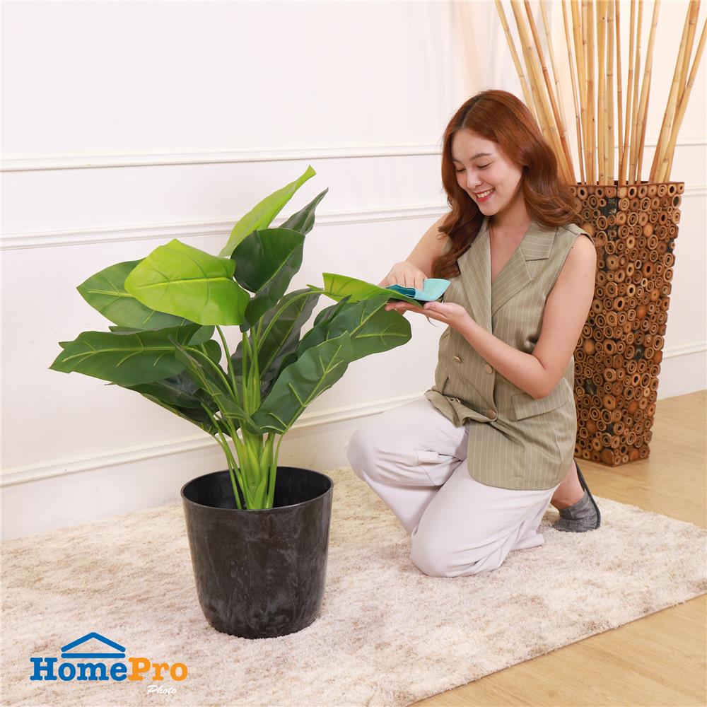 กระถางพลาสติก SPRING MORAY 30 ซม. สีเทา